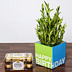 3 Layer Bamboo Plant and Chocolates For Birthday