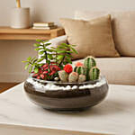 Jade With Fittonia & Cactus Plant In Small Fish Bowl