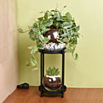 Scindapsus and Echeveria Plant Stand