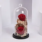 Red Eternal Rose In A Glass Dome