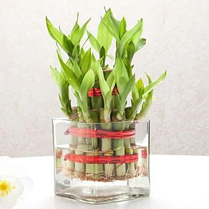 Bringing Good Luck Standard: Send Onam Gifts to India