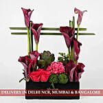 Exotic Arrangement of Purple Calla Lilies
