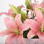 Admirable Pink Asiatic Lilies Bunch