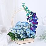 Blue Orchid Oasis Delight