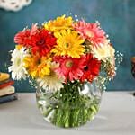 Classy Mixs Of Gerbera Blossoms