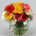 Classy Mixs Of Gerbera Blossoms