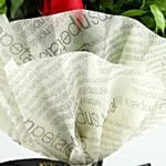 Elegant Vibe Red Roses Bouquet