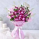 Majestic Orchid Celebration