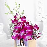 Personalised Birthday Orchids Wishes In Table Organiser