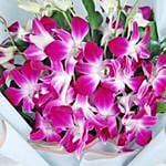 Royal Orchid Bloom