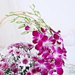 Royal Orchid Daisy Embrace