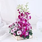 Royal Orchid Daisy Embrace