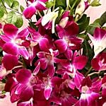 Royal Orchids for Dad