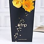 Sunny Gerberas N Roses Sleeve