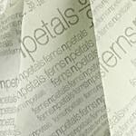 Wrapped In Elegance Roses Bouquet