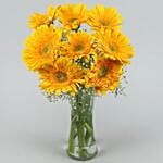 Yellow Mystique Gerbera Vase