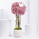 Pink Gypso Beauty Arrangement