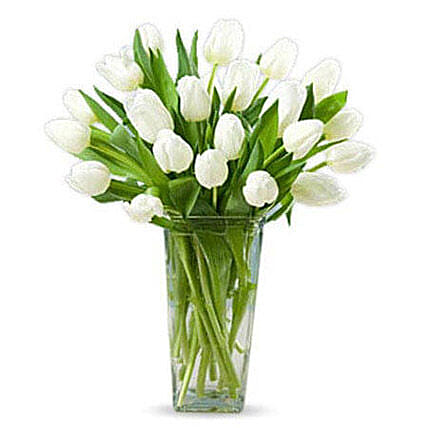 20 White Tulips KT: 