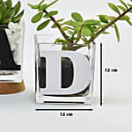 نباتات احتفال يوم الاب