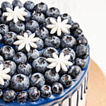 Yummy Blueberry Cake 8 Portion