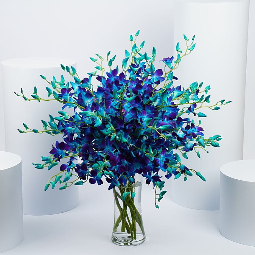 Blue and Purple Orchid Flower Arrangement: flowers