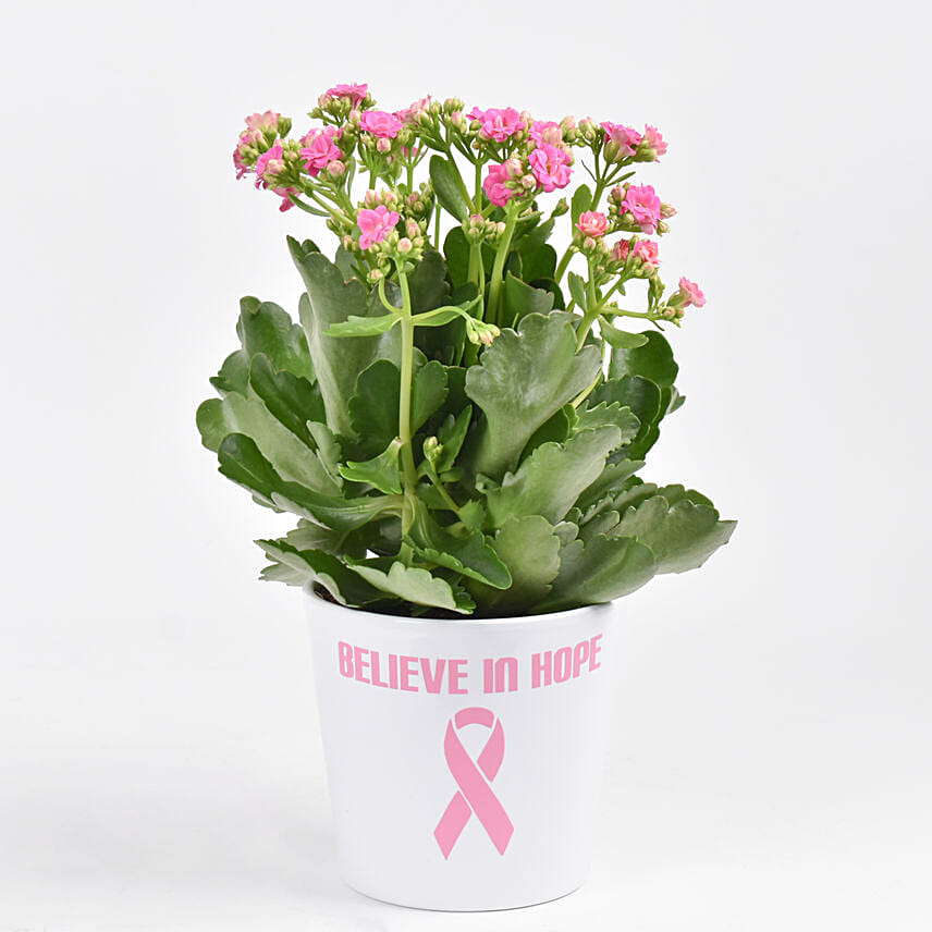 Believe In Hope Plant: Breast Cancer Gifts