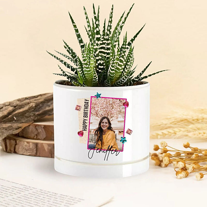 وعاء نباتات عيد الميلاد: 