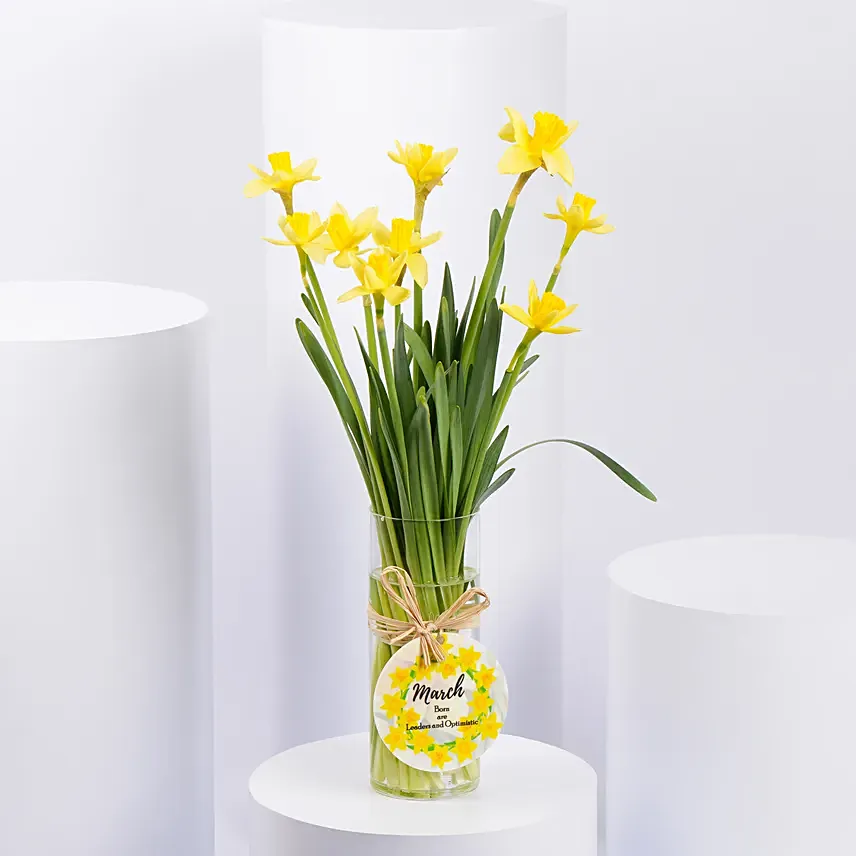 Daffodils Vase Arrangement for Birthday: Flower Shop