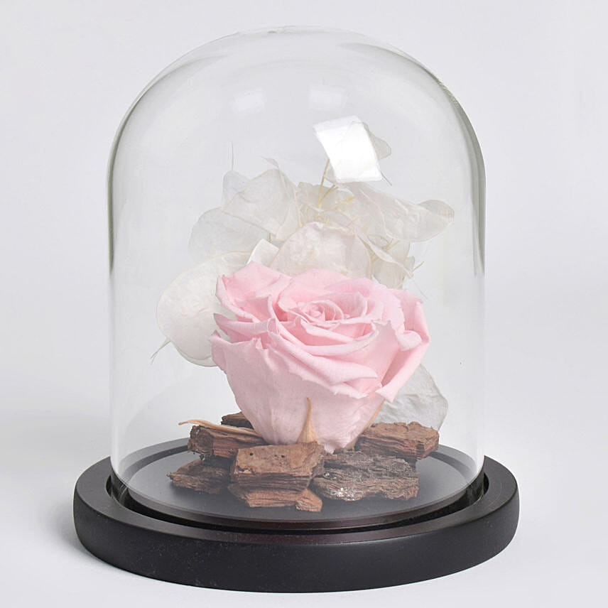 Graceful Pink Forever Rose: Women's Day Flowers