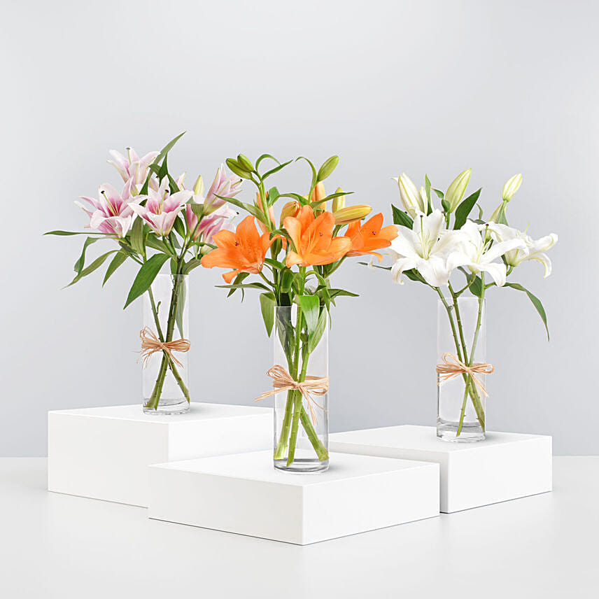 Lilies Beauty Trio: Lilies flowers Bouquet