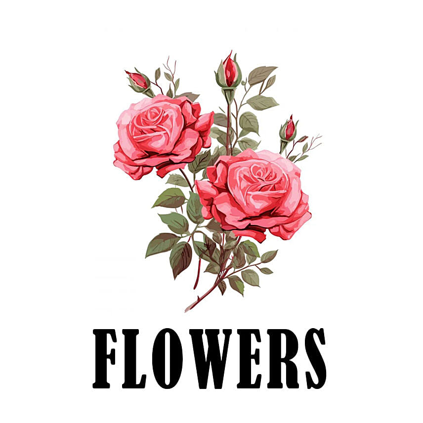 Manual CC FL: أفضل الهدايا