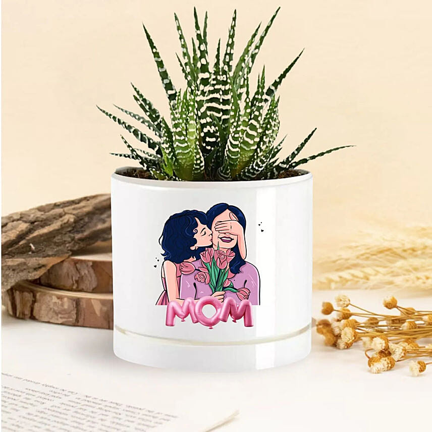 Mom Love Blooms Echeveria Plant: Personalised Planters
