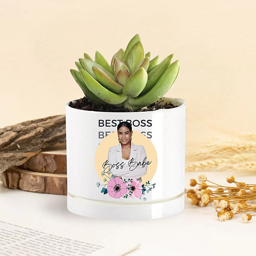 Personlized Boss Babe Echeveria Plant: Personalised Planters