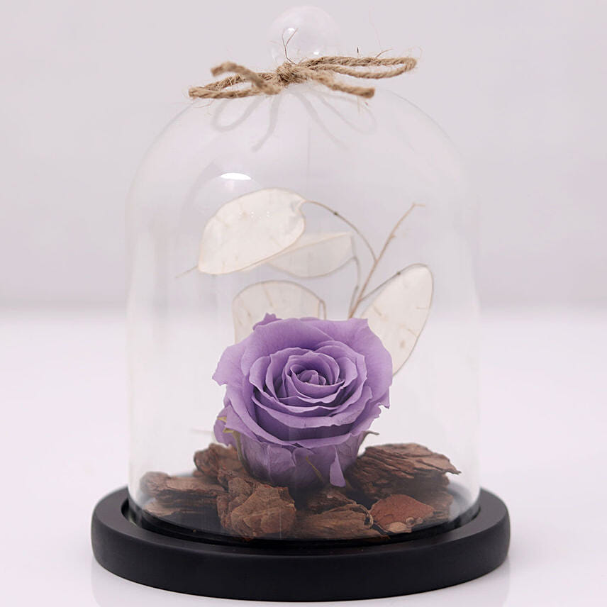 Purple Forever Rose In Glass Dome: Congratulations Flower Bouquet