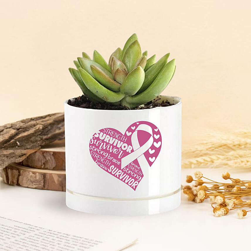 Survivor Breast Cancer Awareness Plant: Outdoor Plants