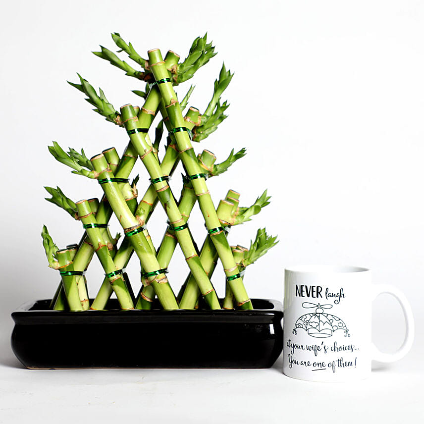 Triangle Shape Bamboo with Mug: Anniversary Plant Gifts