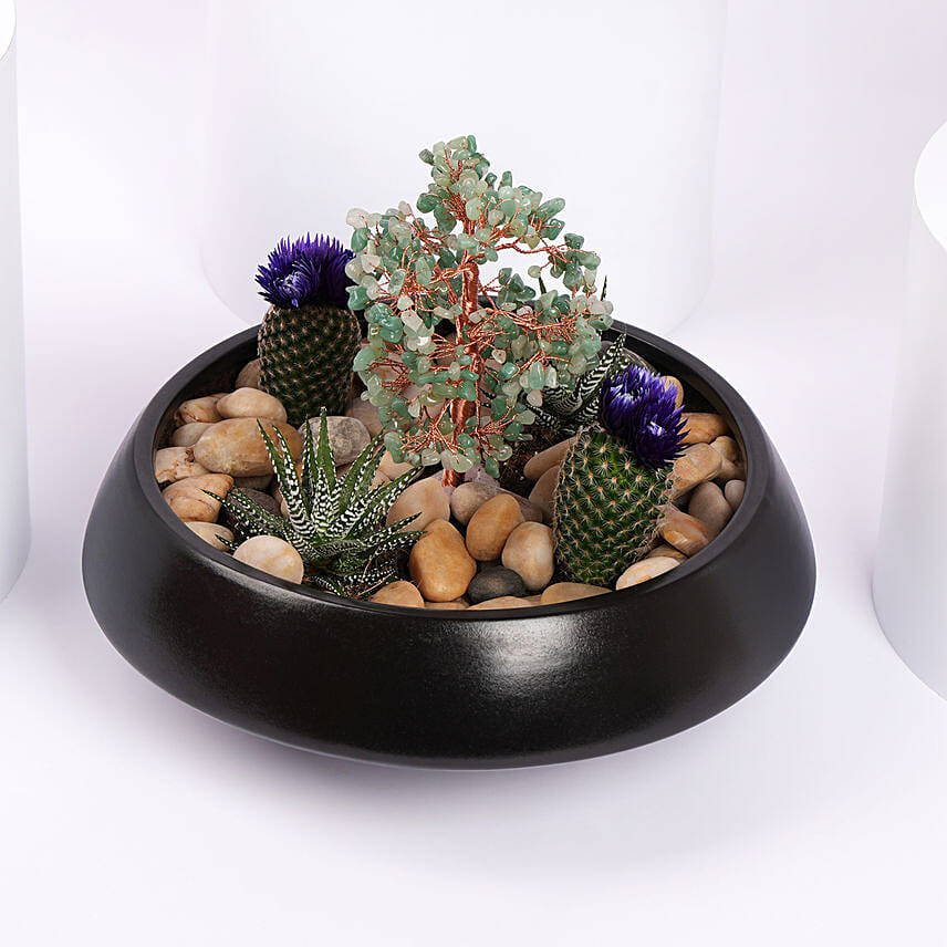 Serene Garden Succulent Planter: 