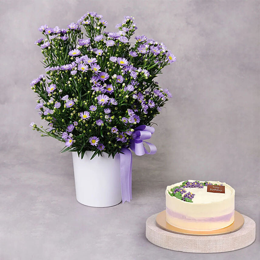 Aster Flower and Cake Combo: Aster Flower Bouquet 