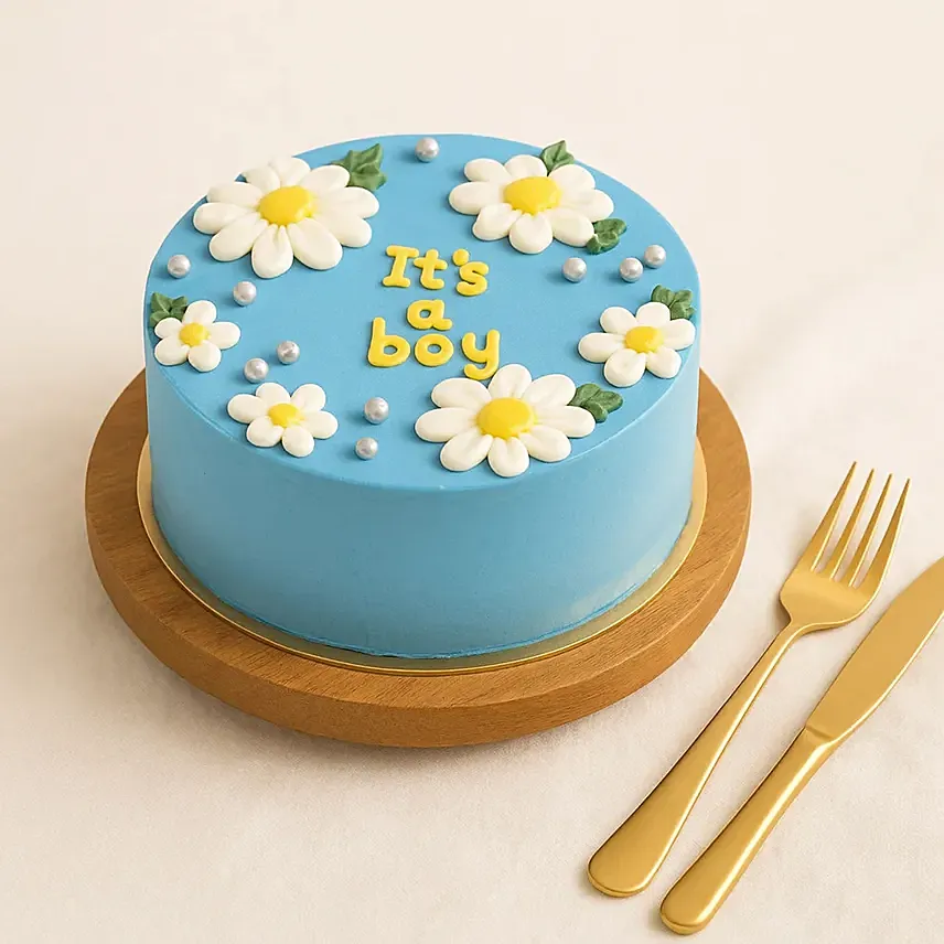 Its A Boy Cake: Newborn Baby Cake