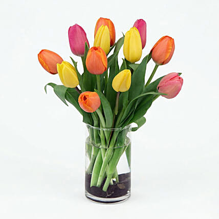 Wonderful Colors: Send Gifts to Lebanon