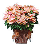 An Arrangement To Remember