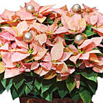 An Arrangement To Remember