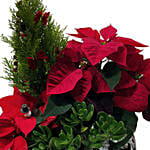 Santas Secret Gift