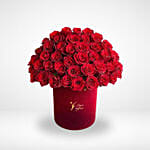 Velvet Bloom Box 120