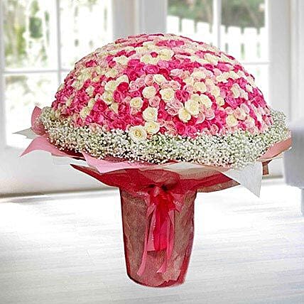 500 وردة بيضاء ووردية مذهلة منسقة في باقة كبيرة بغلاف وردي وأبيض: ورد جوري وردي اونلاين 