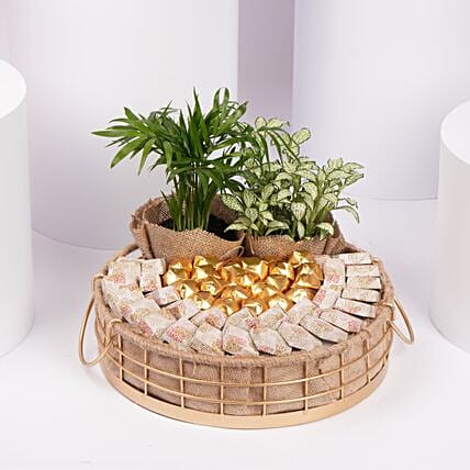 A Gift of Growth and Gratitude: 