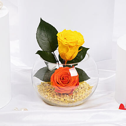 Amber Beauty Forever Roses Duo: Forever Roses