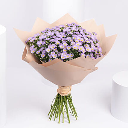 Aster Flowers Bouquet: Flowers