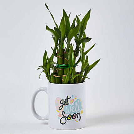 Bamboo Plant In Get Well Soon Mug: Lucky Bamboo 