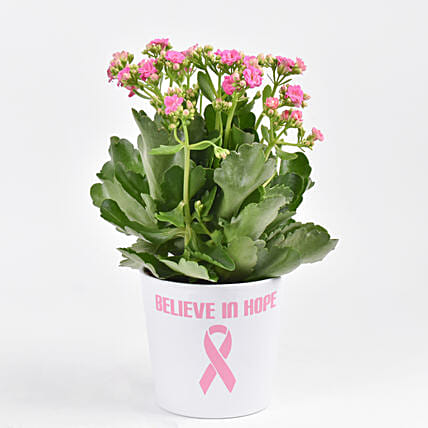 Believe In Hope Plant: Breast Cancer Gifts
